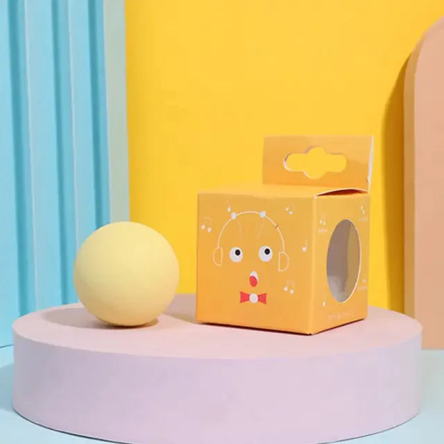 Interactive Pet Toys